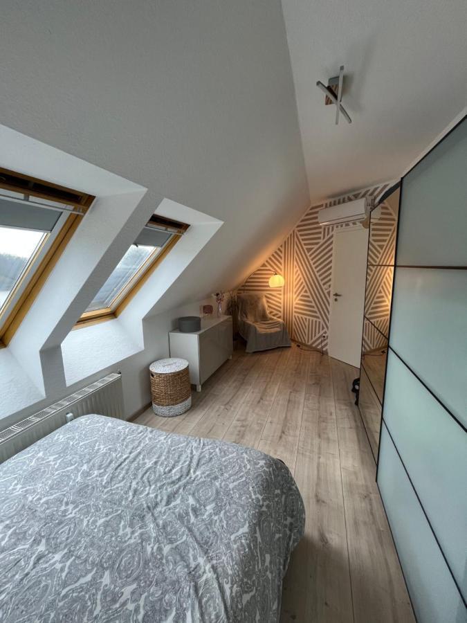 105 Qm Neues Klimatisiertes Appartment Fuer Familien Privater Parkplatz Chemnitz Ngoại thất bức ảnh